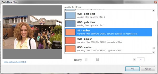PhotoDemon's new Photo Filter browser.  To my knowledge, this is the most comprehensive collection of post-production Wratten filters in any software, ever.  The interactive photo filter browser provides 50 custom-built photo filters for fixing every possible lighting situation.
